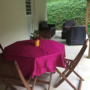 Les Lucioles 1 Beau T2 En Foret Tropicale Avec Acces Piscine Hébergement de vacances